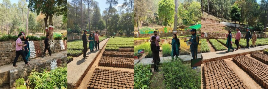 नक्षत्र वाटिका को पर्यटन एवं आकर्षक स्थल के रूप में किया जाएगा विकसित – डीएम आकांक्षा कोंडे