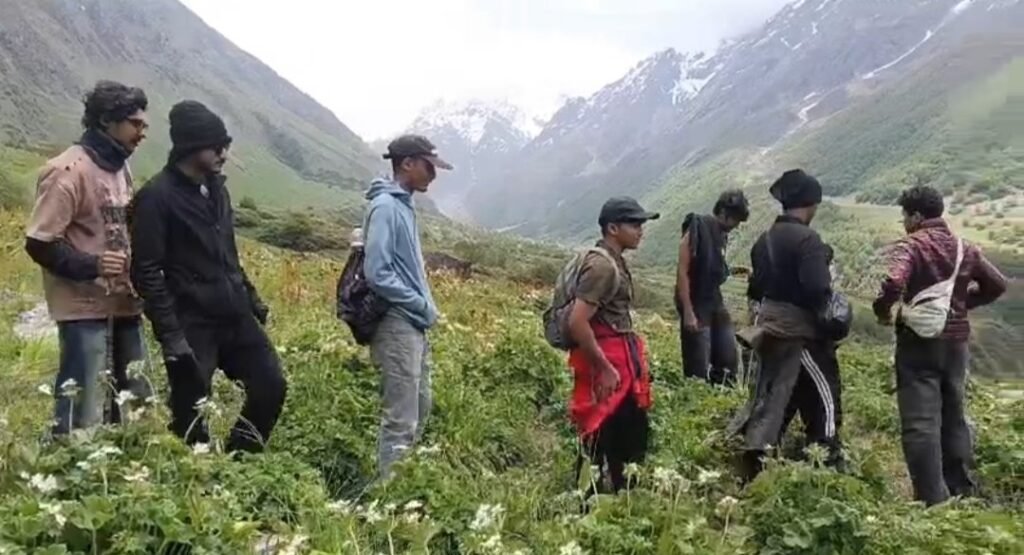 फूलों की घाटी में पर्यटकों का रिकॉर्ड आगमन, 17 दिन में पहुंचे 3628 सैलानी